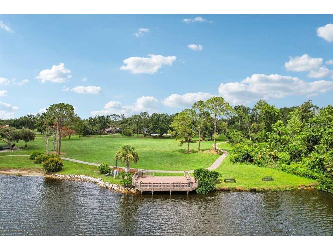 3062 Sutton Woods Drive Plant City FL 33566 TB8392934 image48