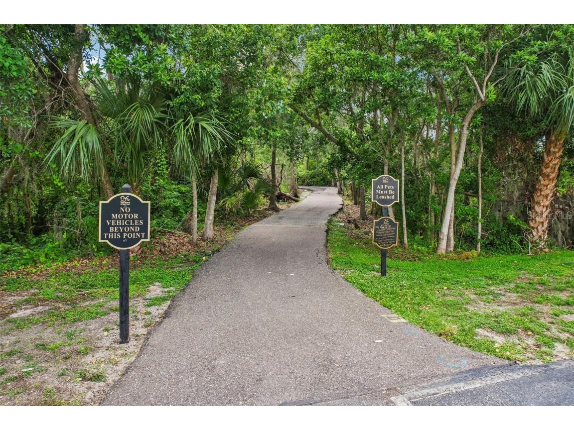 3062 Sutton Woods Drive Plant City FL 33566 TB8392934 image49