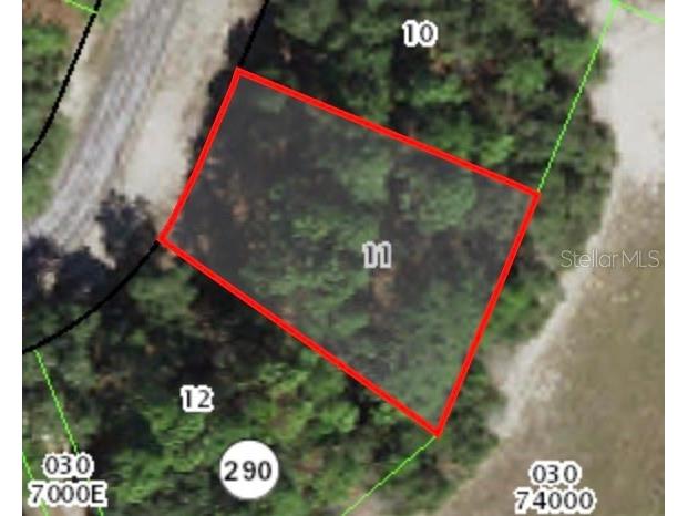 3062 W Marie Drive Citrus Springs FL 34433 A4577454 image1