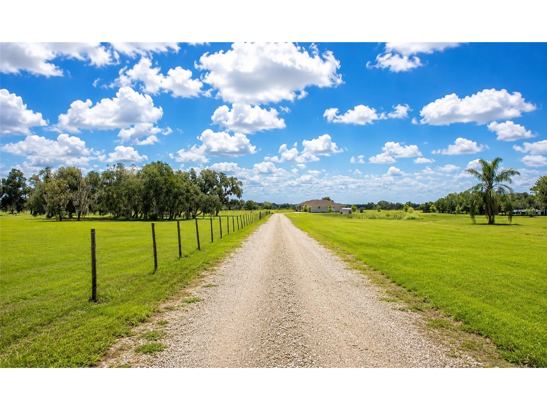 30620 Betts Road Myakka City FL 34251 A4698479 image5
