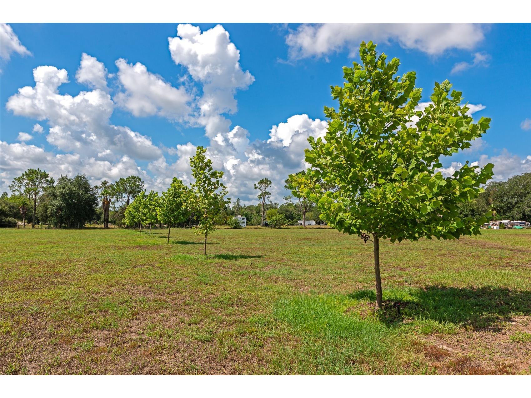 30620 Betts Road Myakka City FL 34251 A4698479 image51