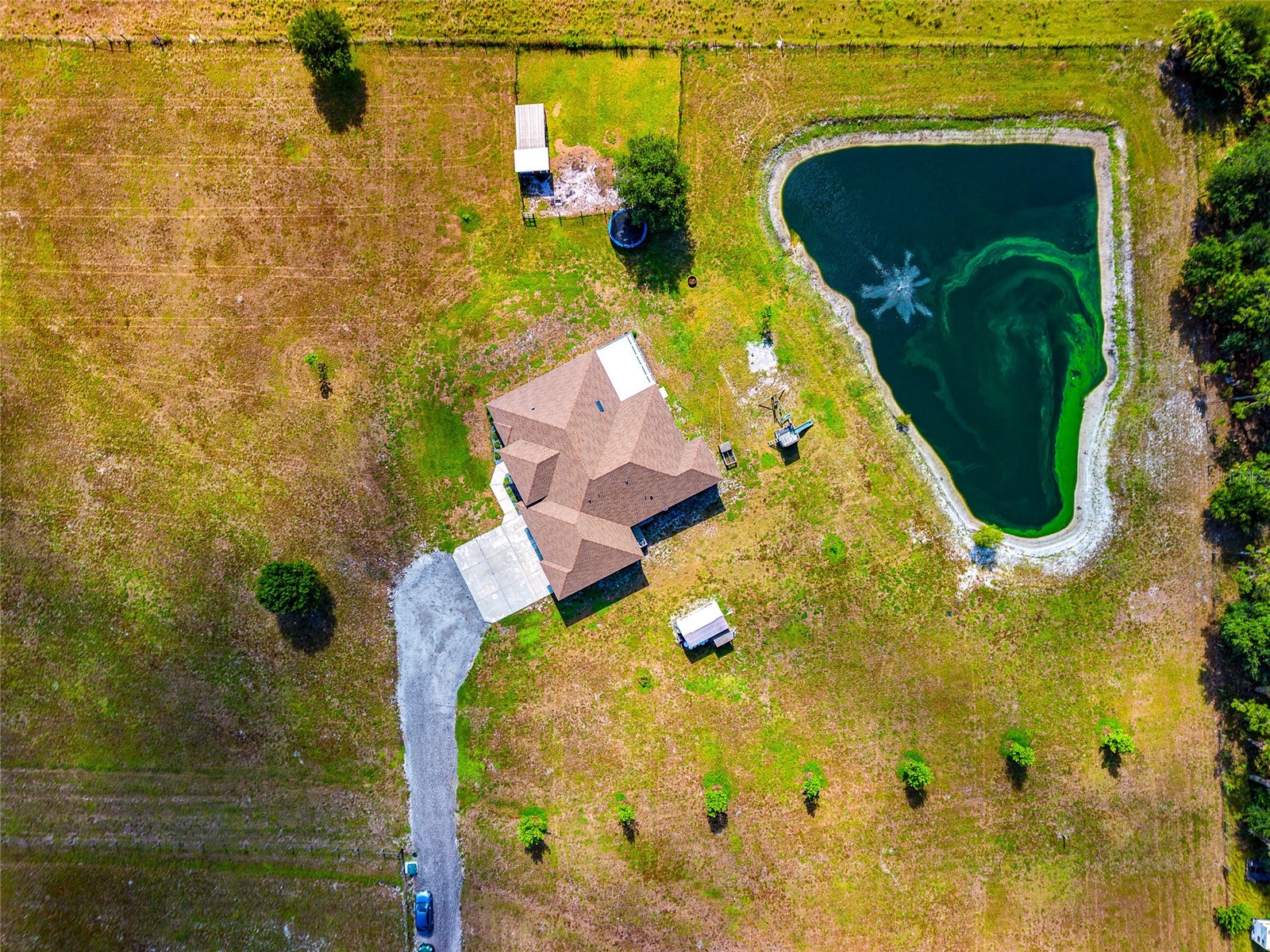 30620 Betts Road Myakka City FL 34251 A4698479 image58