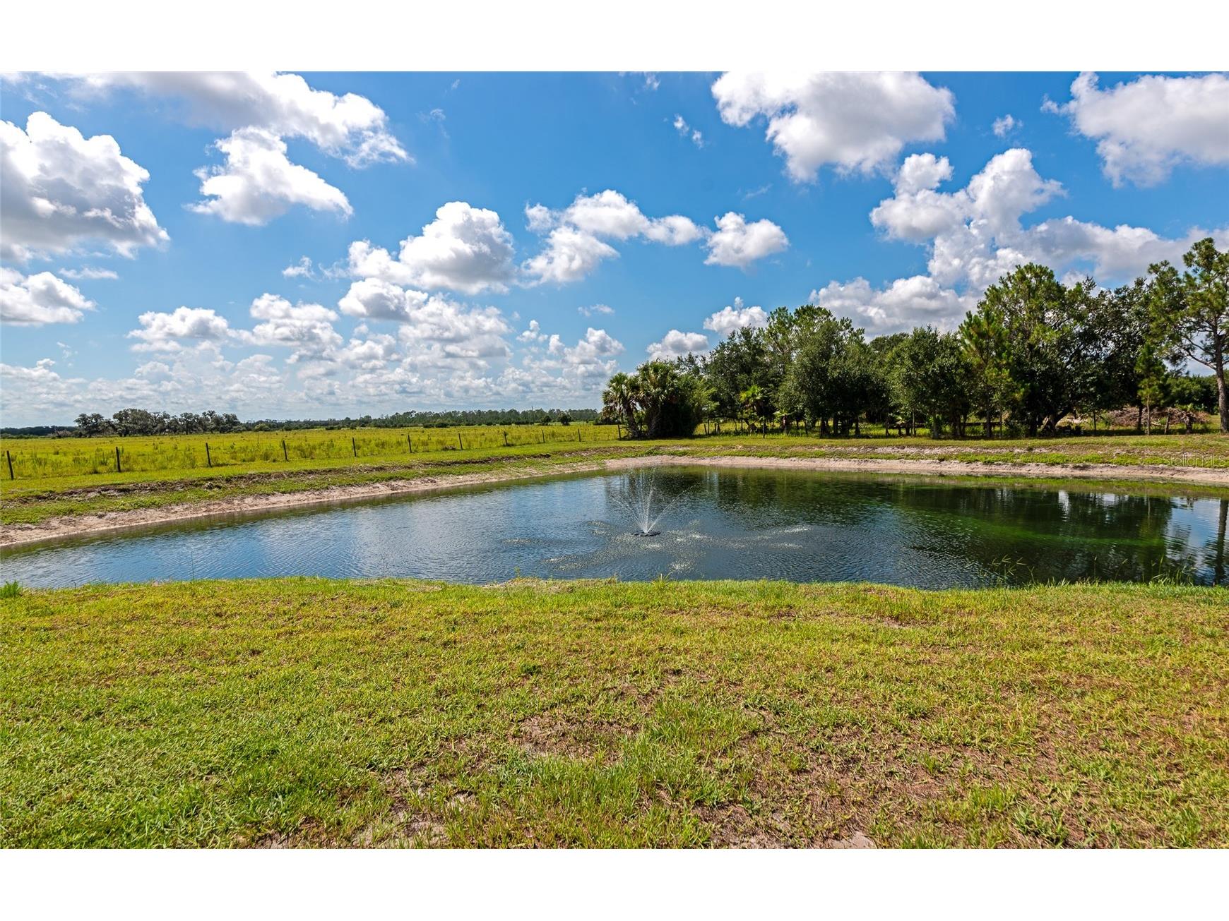 30620 Betts Road Myakka City FL 34251 A4698479 image6