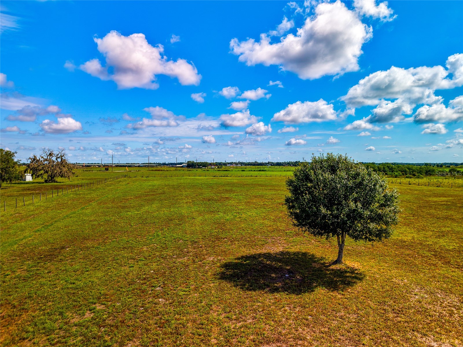 30620 Betts Road Myakka City FL 34251 A4698479 image60