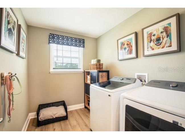 30621 Prestwick Avenue Sorrento FL 32776 O6405104 image25