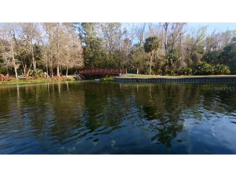 30621 Prestwick Avenue Sorrento FL 32776 O6405104 image31