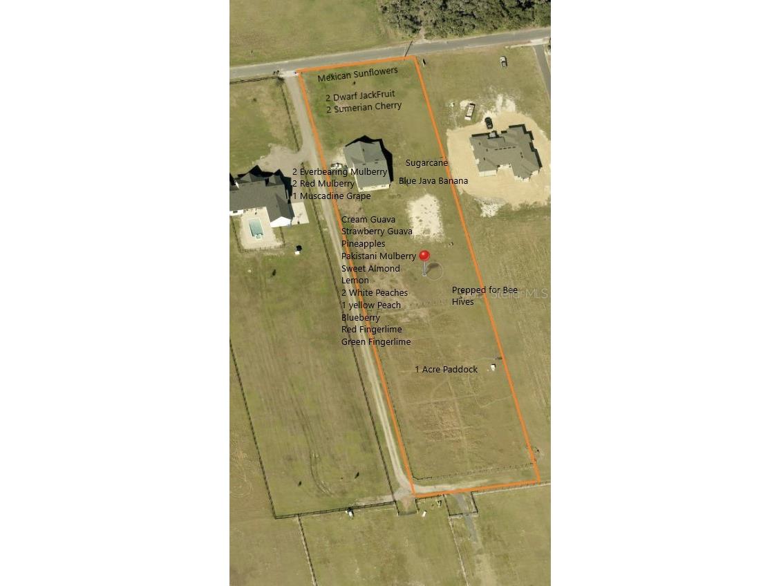 3063 English Road Plant City FL 33567 TB8497148 image2