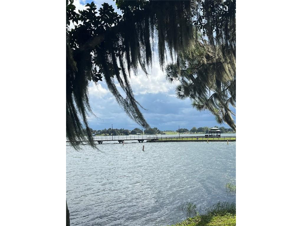 3063 Lake June Boulevard Lake Placid FL 33852 O6344385 image58