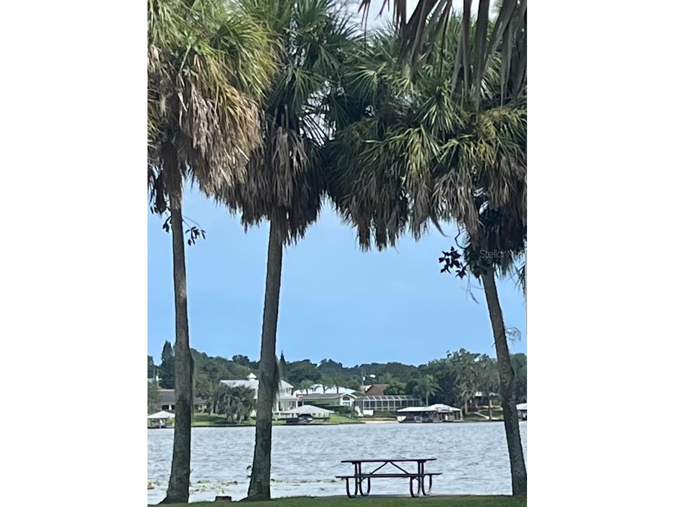 3063 Lake June Boulevard Lake Placid FL 33852 O6390549 image38