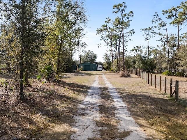 3063 SE Creekwood Terrace Arcadia FL 34266 A4680524 image3
