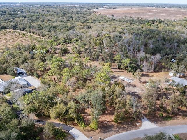 3063 SE Creekwood Terrace Arcadia FL 34266 A4680524 image7