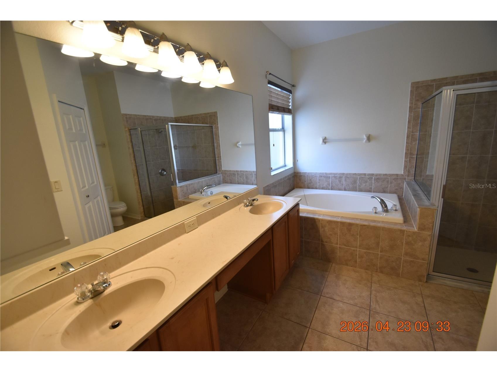 30633 Totteridge Place Wesley Chapel FL 33545 TB8502507 image27