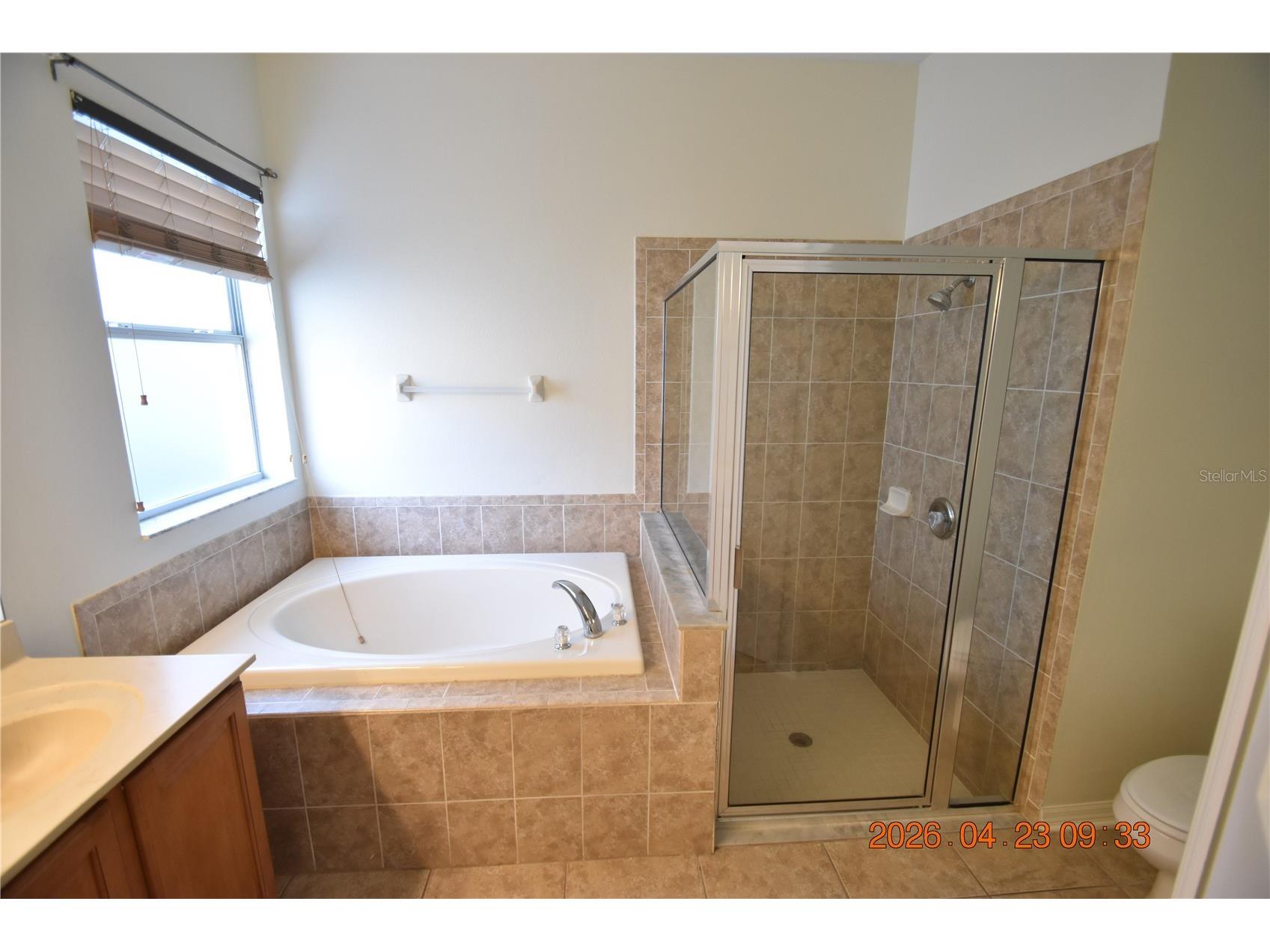 30633 Totteridge Place Wesley Chapel FL 33545 TB8502507 image28