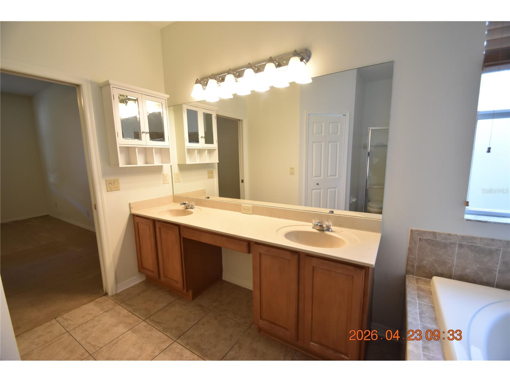 30633 Totteridge Place Wesley Chapel FL 33545 TB8502507 image29