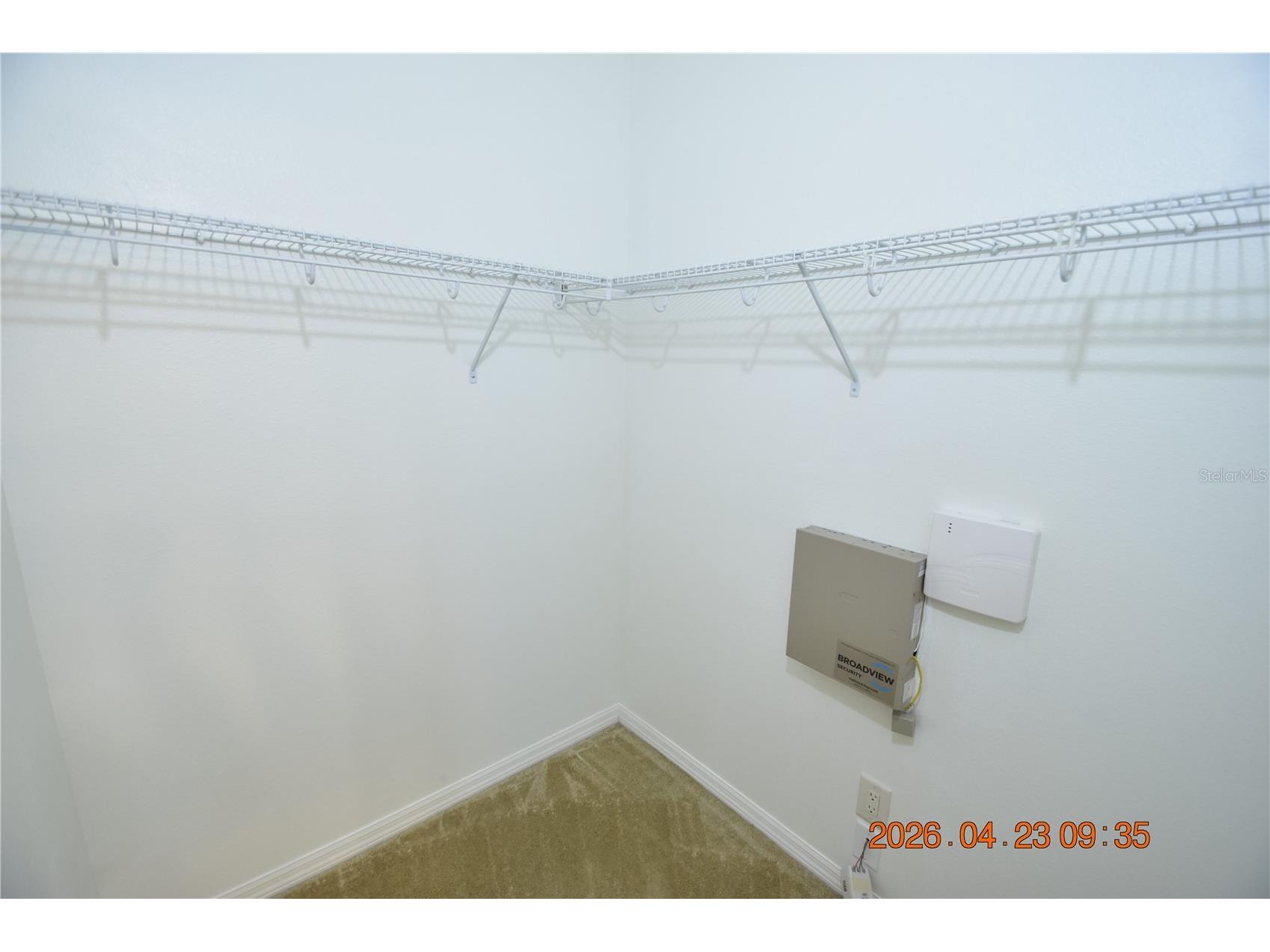 30633 Totteridge Place Wesley Chapel FL 33545 TB8502507 image30