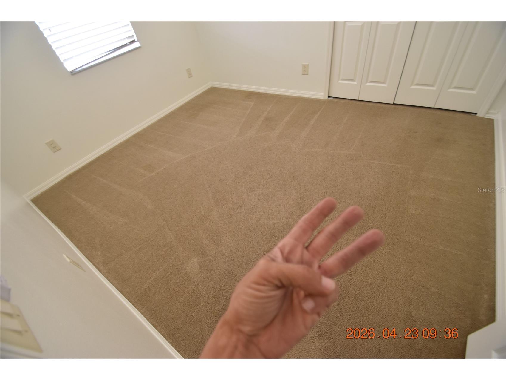 30633 Totteridge Place Wesley Chapel FL 33545 TB8502507 image35