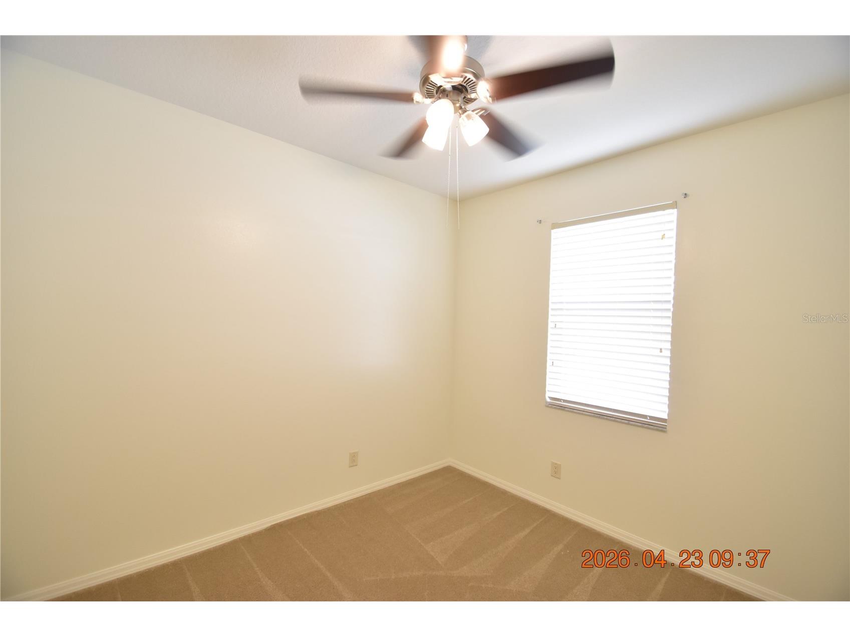 30633 Totteridge Place Wesley Chapel FL 33545 TB8502507 image40