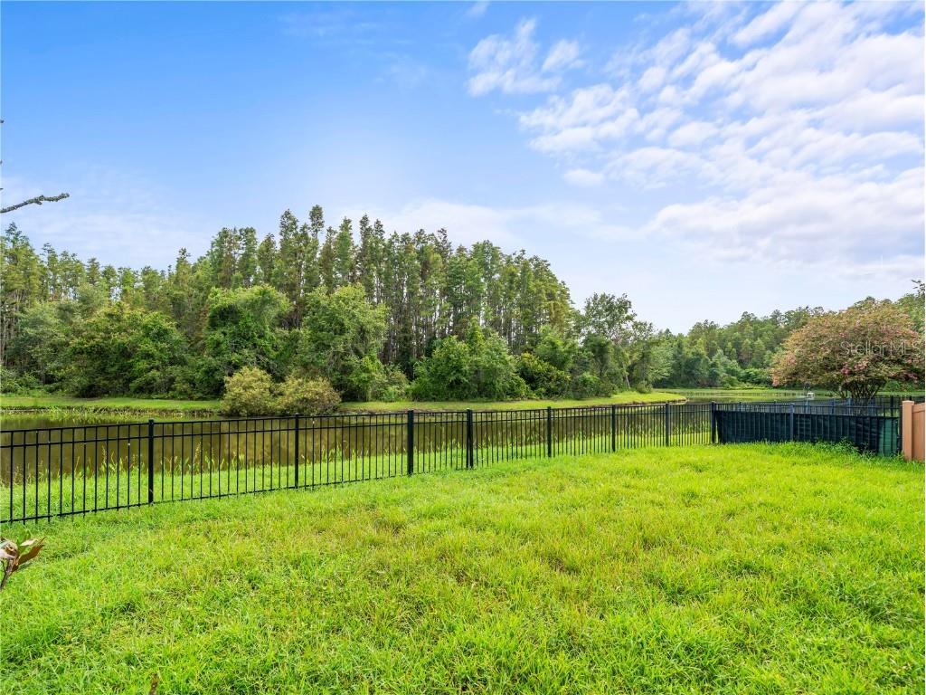 30638 Nickerson Loop Wesley Chapel FL 33543 TB8402312 image31