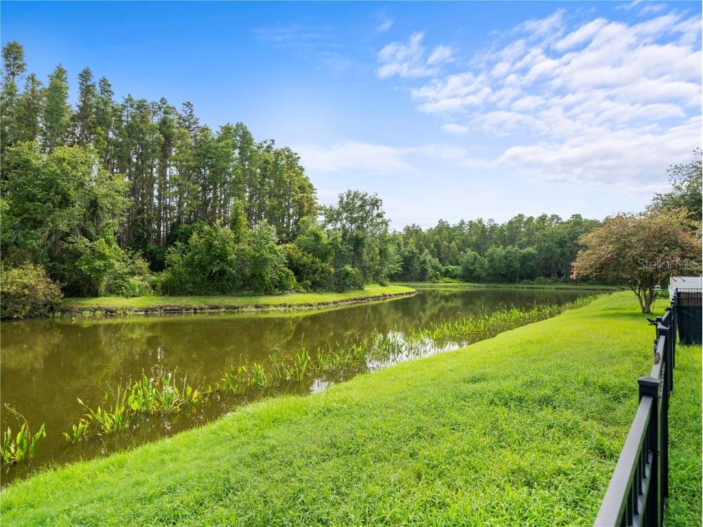 30638 Nickerson Loop Wesley Chapel FL 33543 TB8402312 image32