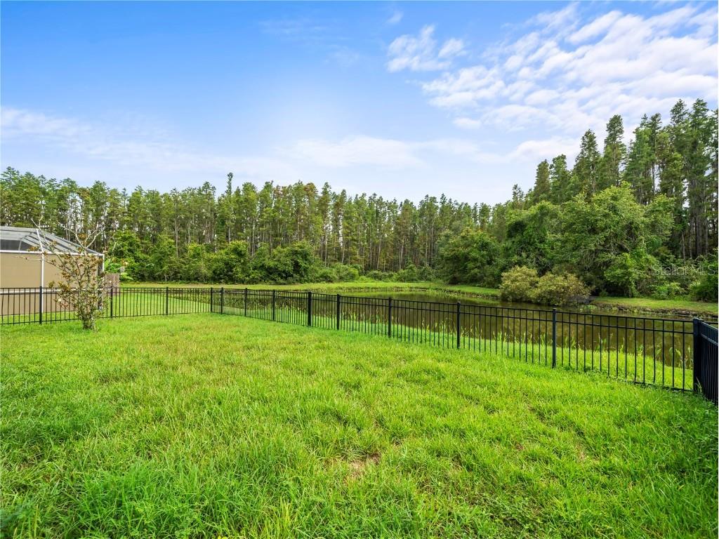 30638 Nickerson Loop Wesley Chapel FL 33543 TB8402312 image33