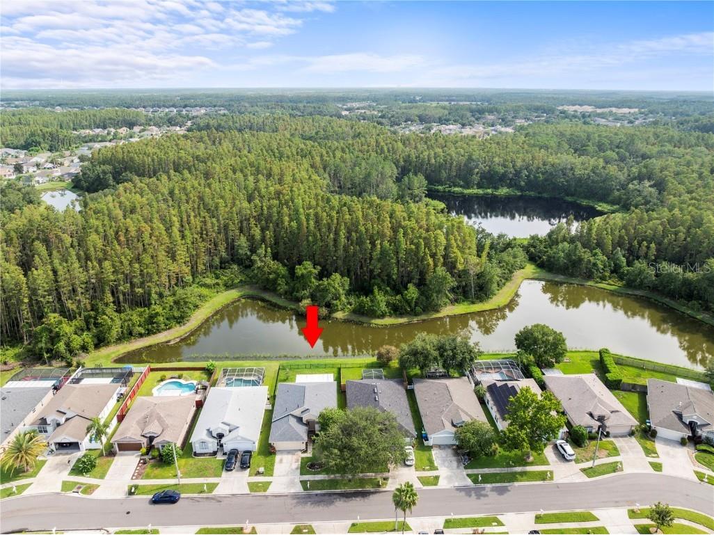 30638 Nickerson Loop Wesley Chapel FL 33543 TB8402312 image35