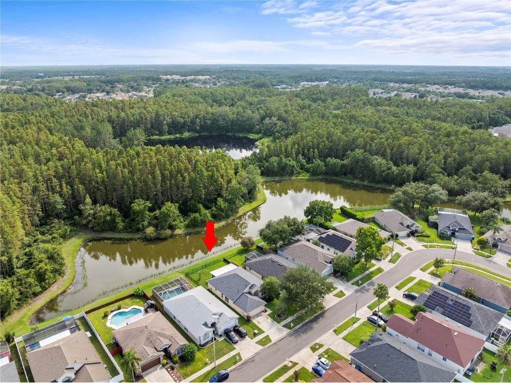 30638 Nickerson Loop Wesley Chapel FL 33543 TB8402312 image36