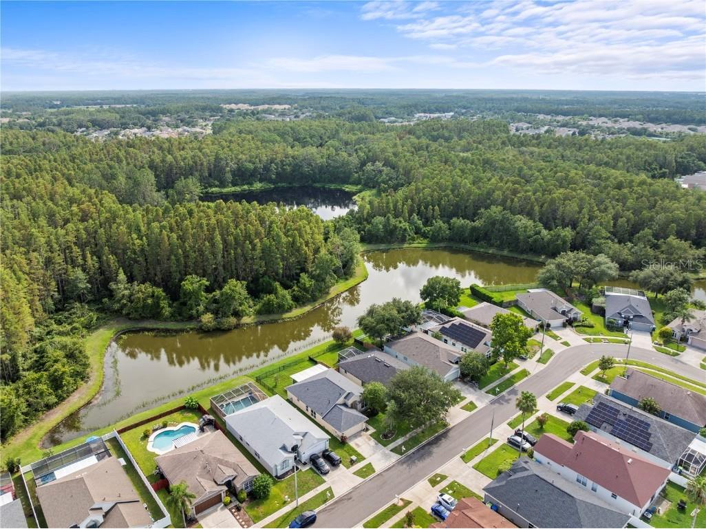 30638 Nickerson Loop Wesley Chapel FL 33543 TB8402312 image38