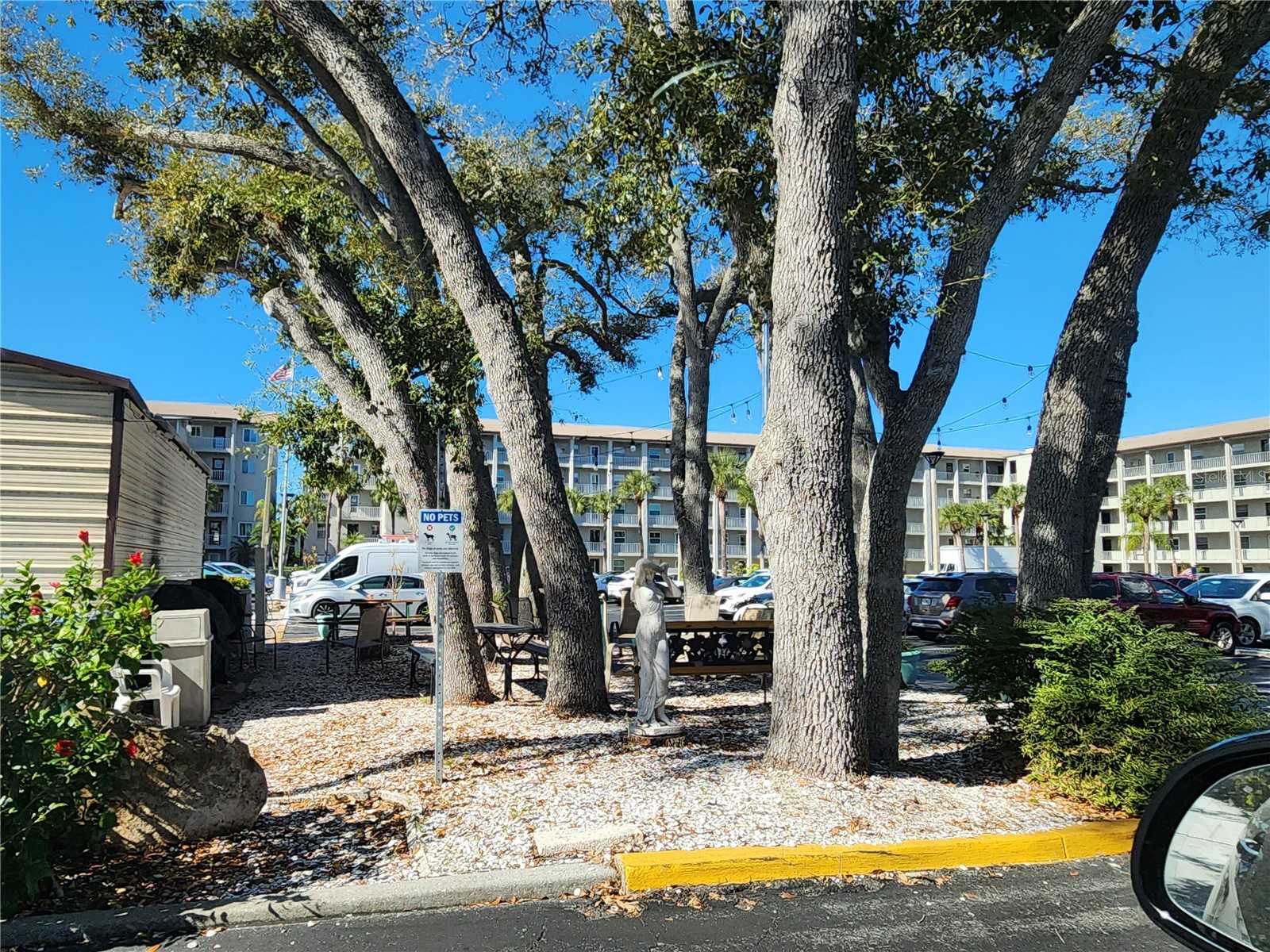 3064 Lake Bayshore Drive #115 Bradenton FL 34205 A4679290 image2