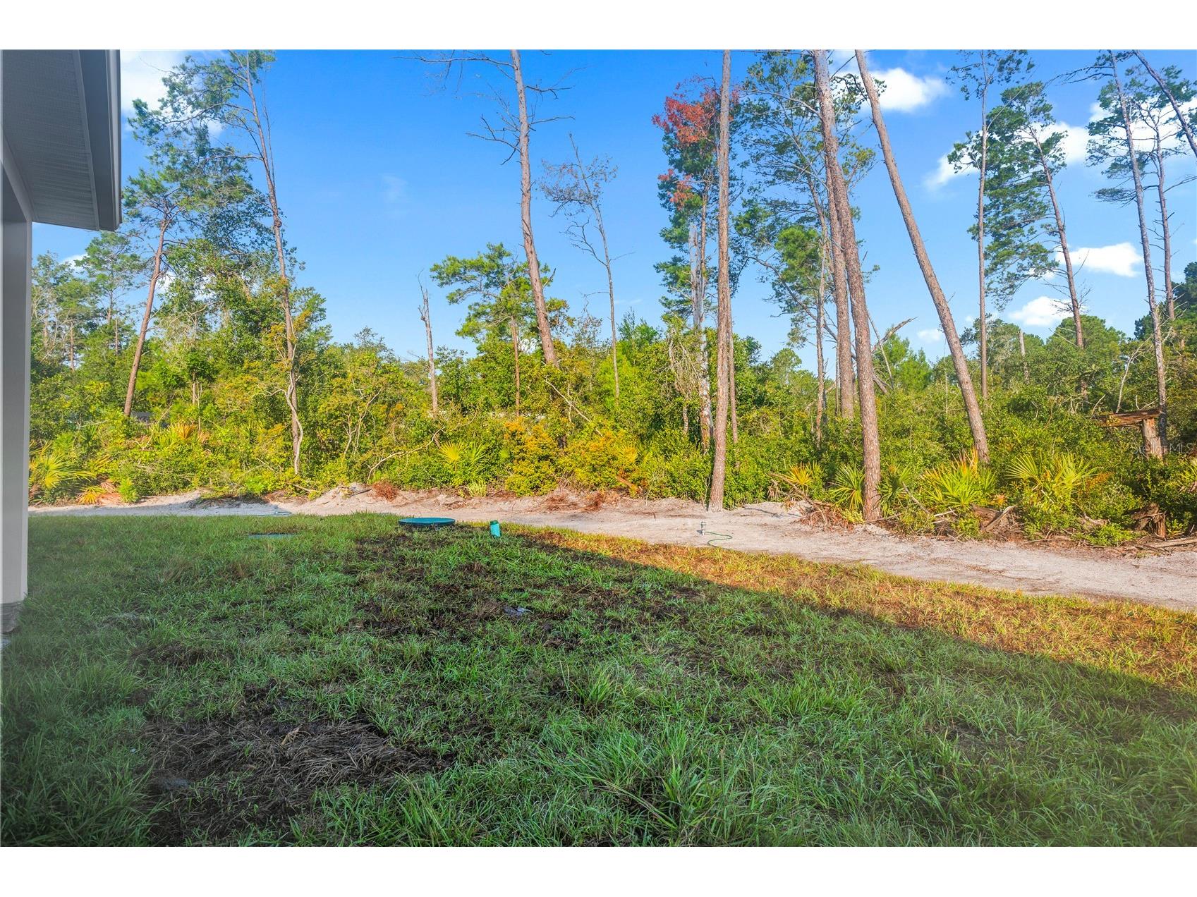 30643 Apricot Avenue Eustis FL 32736 O6422333 image51