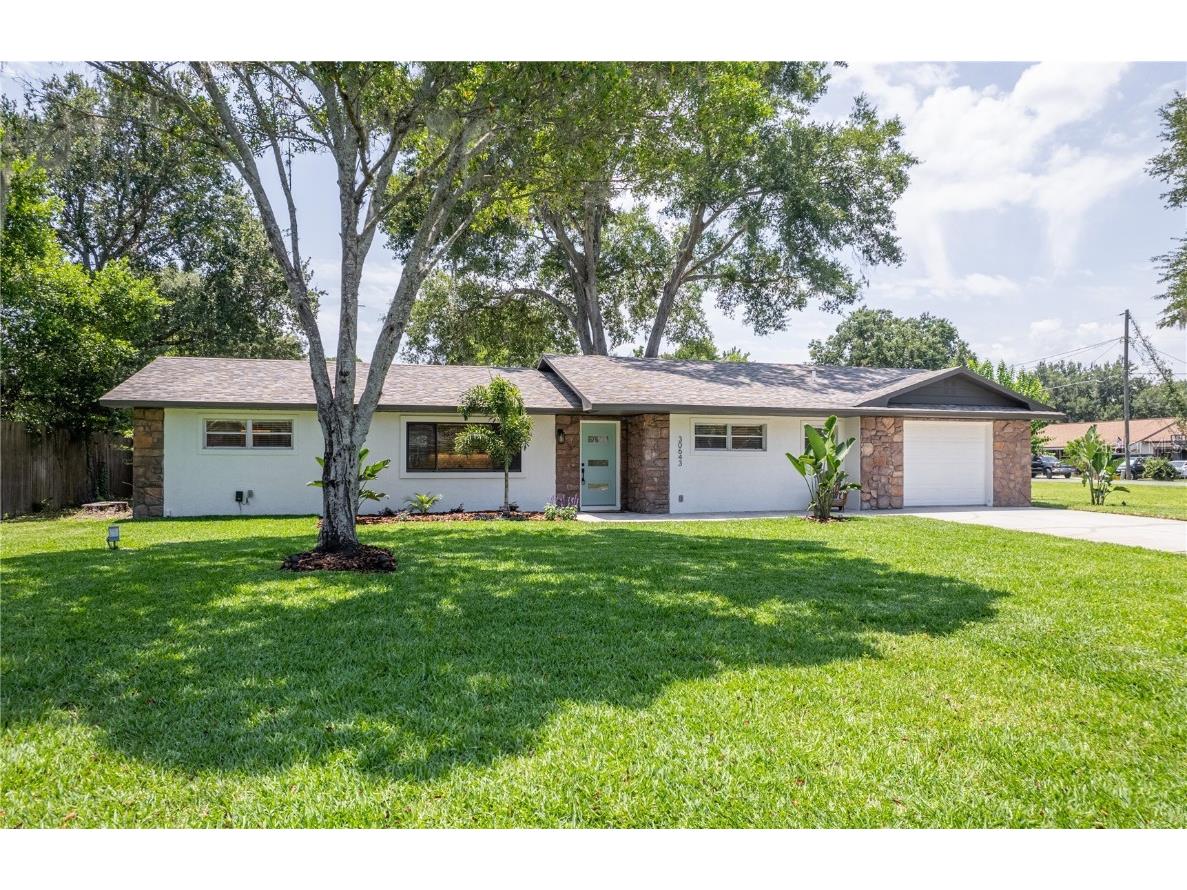 30643 Fairview Avenue Tavares FL 32778 - LAKE DORA O6116058 image1