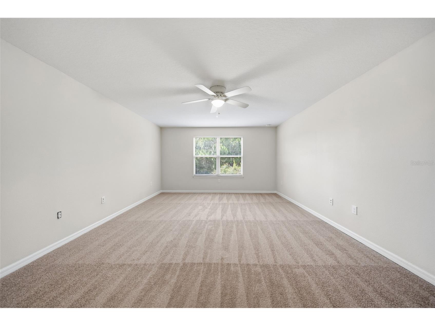 30643 Walker Cup Place Wesley Chapel FL 33543 TB8520235 image13
