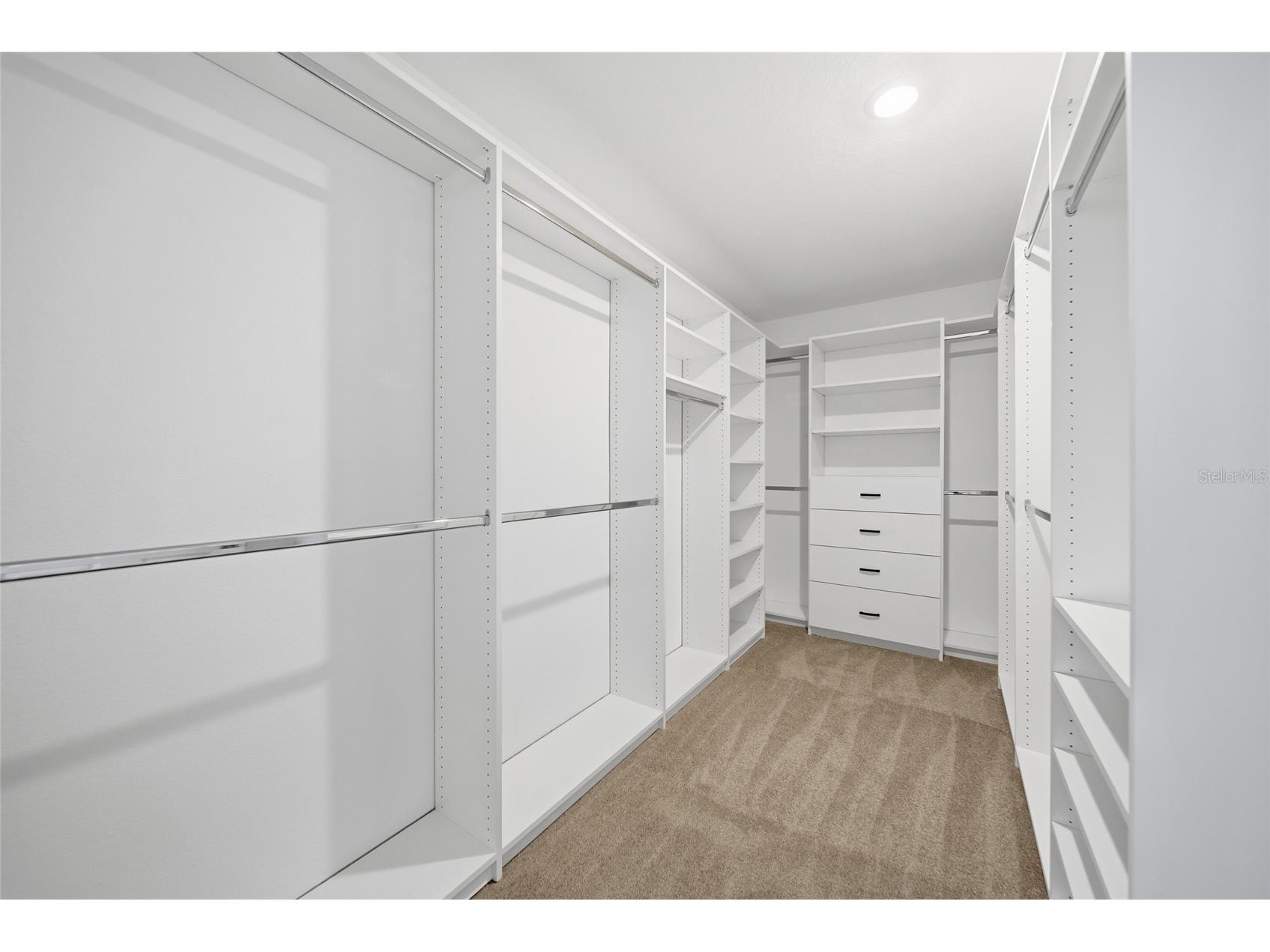 30643 Walker Cup Place Wesley Chapel FL 33543 TB8520235 image16