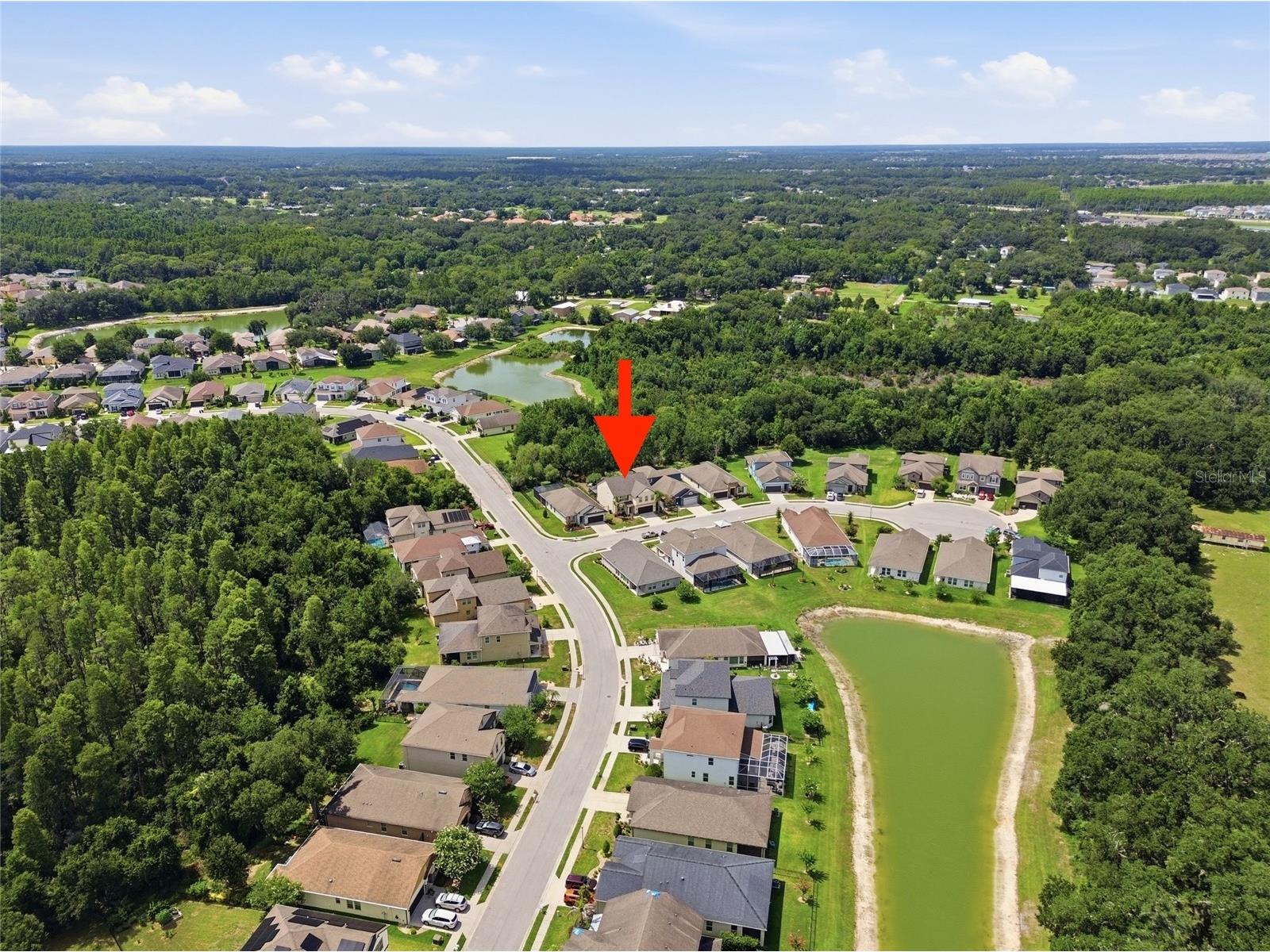 30643 Walker Cup Place Wesley Chapel FL 33543 TB8520235 image46