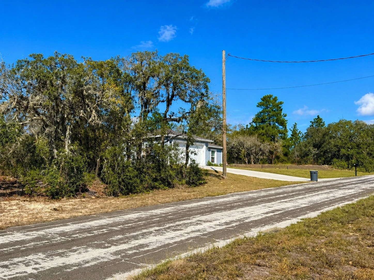 3065 W Marie Drive Citrus Springs FL 34433 O6402684 image3