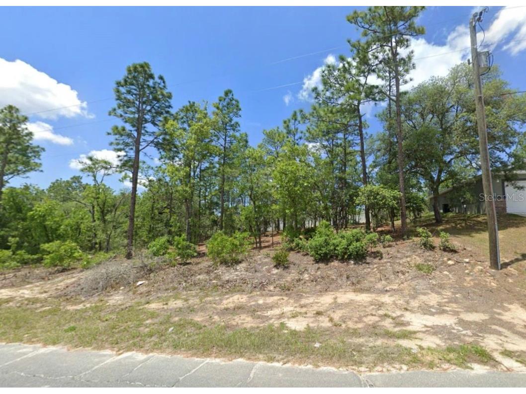 3065 W Sharpes Drive Citrus Springs FL 34433 OM715159 image3