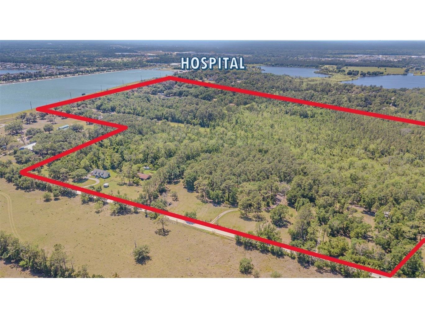 30651 Elam Road Wesley Chapel FL 33545 T3511354 image10