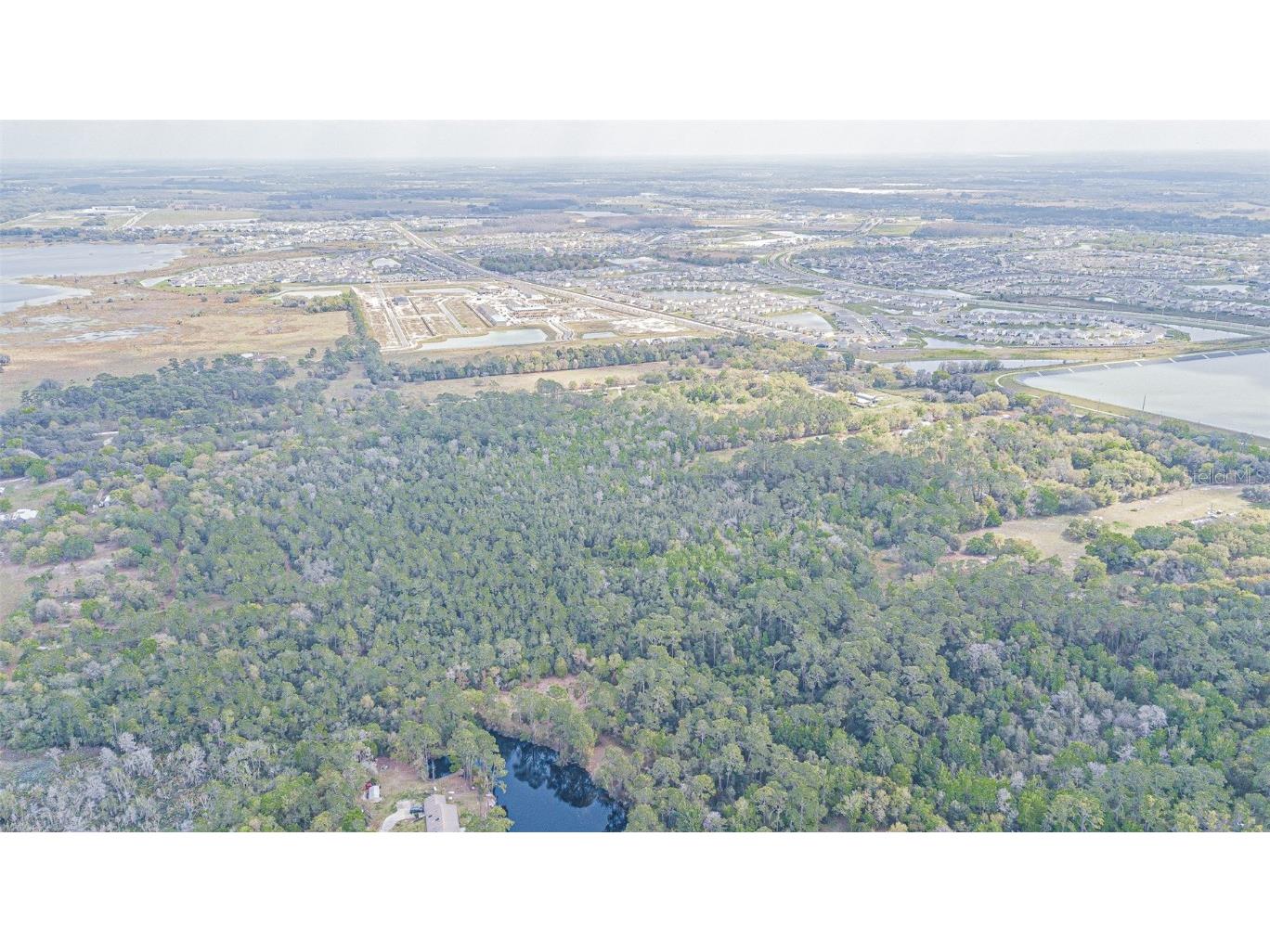 30651 Elam Road Wesley Chapel FL 33545 T3511354 image13