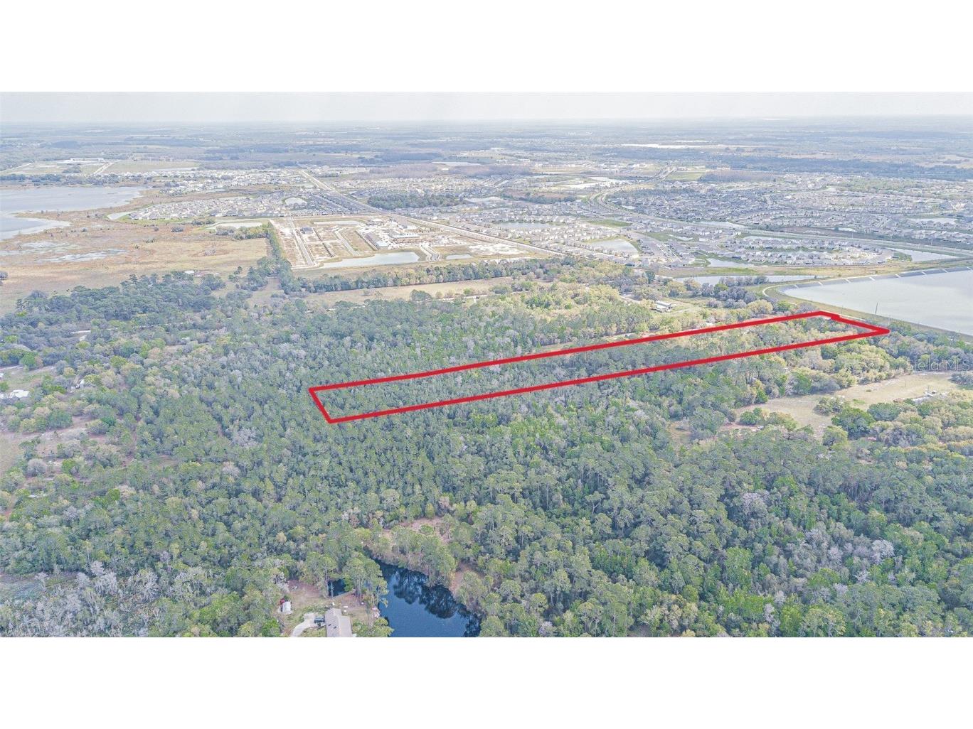 30651 Elam Road Wesley Chapel FL 33545 T3511354 image2