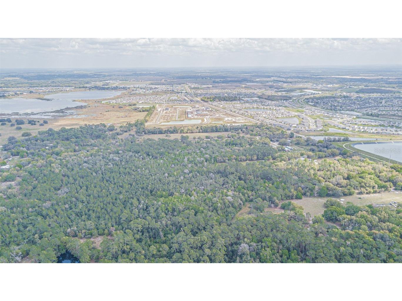 30651 Elam Road Wesley Chapel FL 33545 T3511354 image23