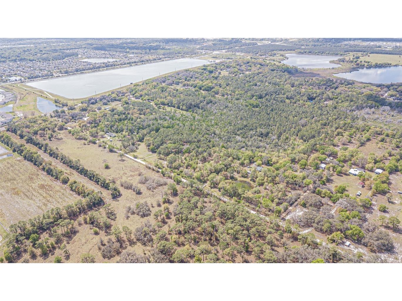 30651 Elam Road Wesley Chapel FL 33545 T3511354 image28