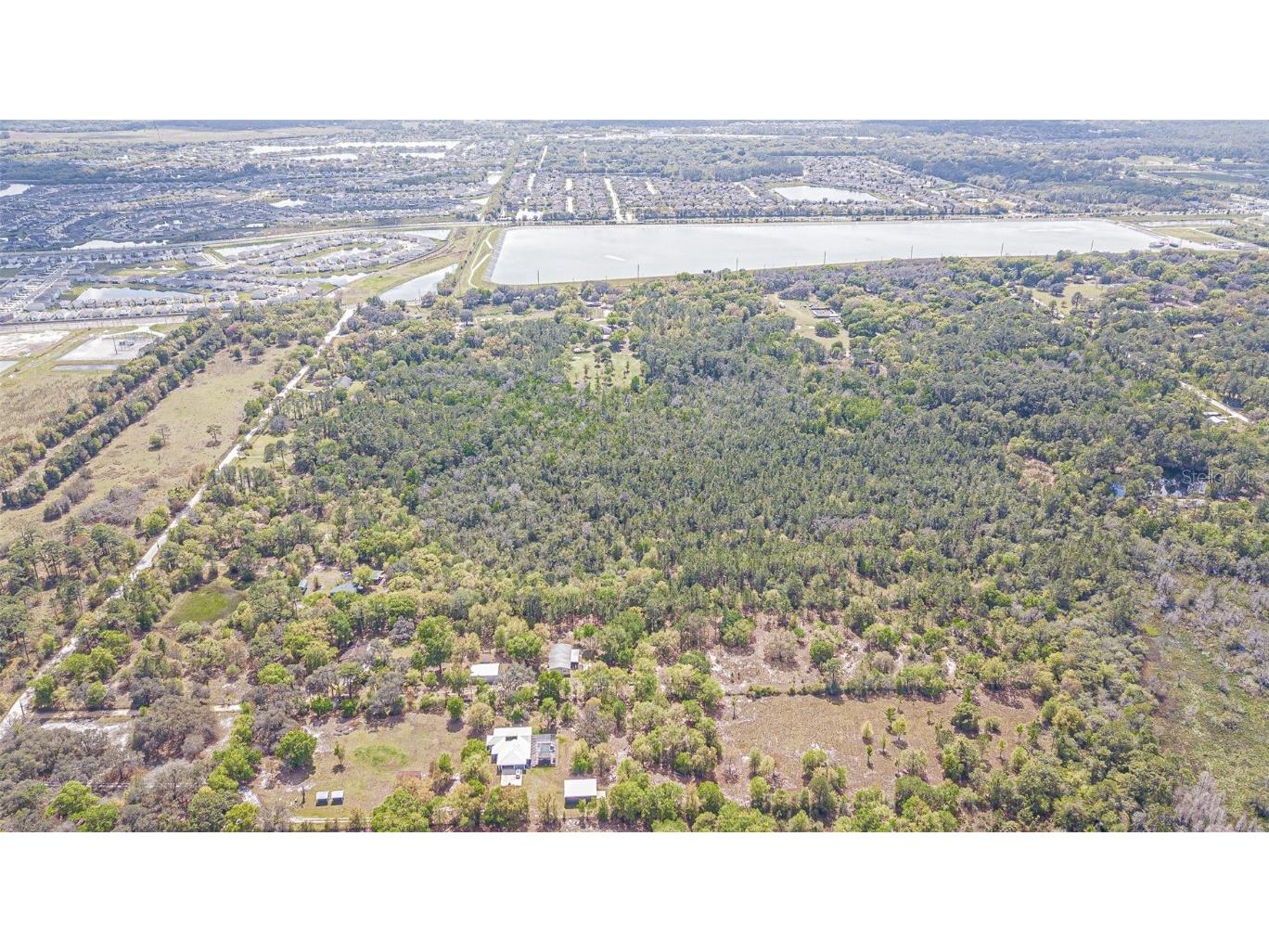 30651 Elam Road Wesley Chapel FL 33545 T3511354 image29