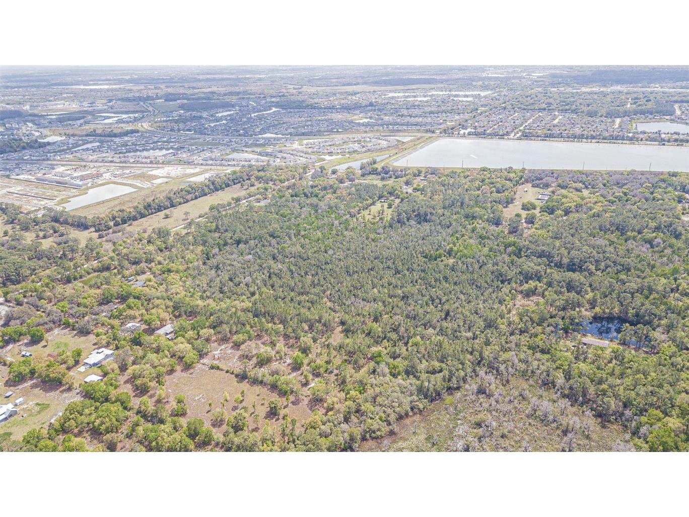 30651 Elam Road Wesley Chapel FL 33545 T3511354 image30