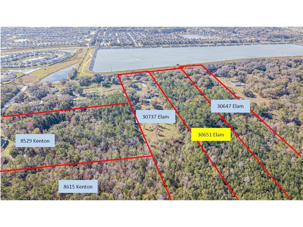 30651 Elam Road Wesley Chapel FL 33545 T3511354 image6