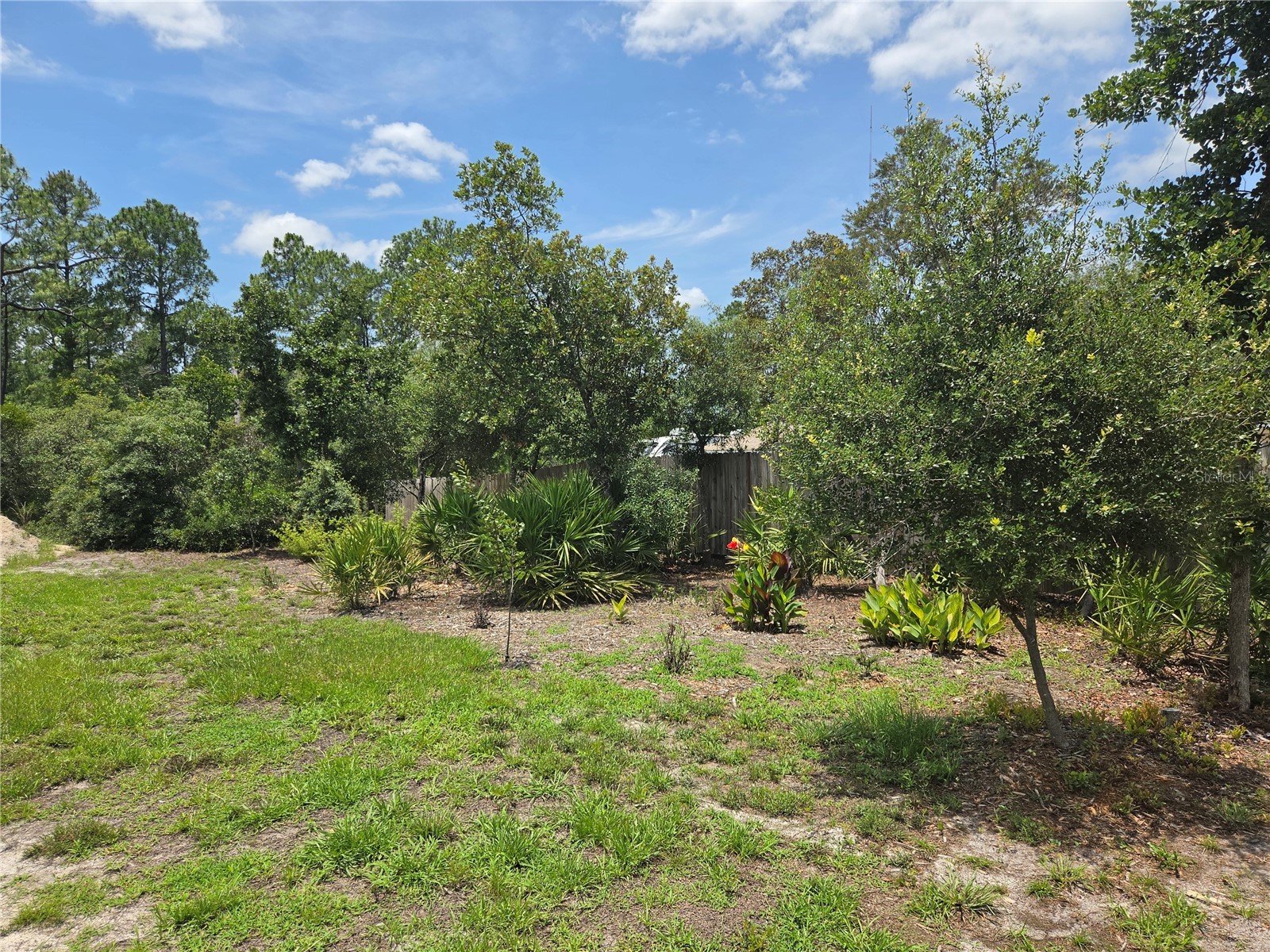 30658 East Bluebell Ave Eustis FL 32736 - LAKE NORRIS G5113176 image37
