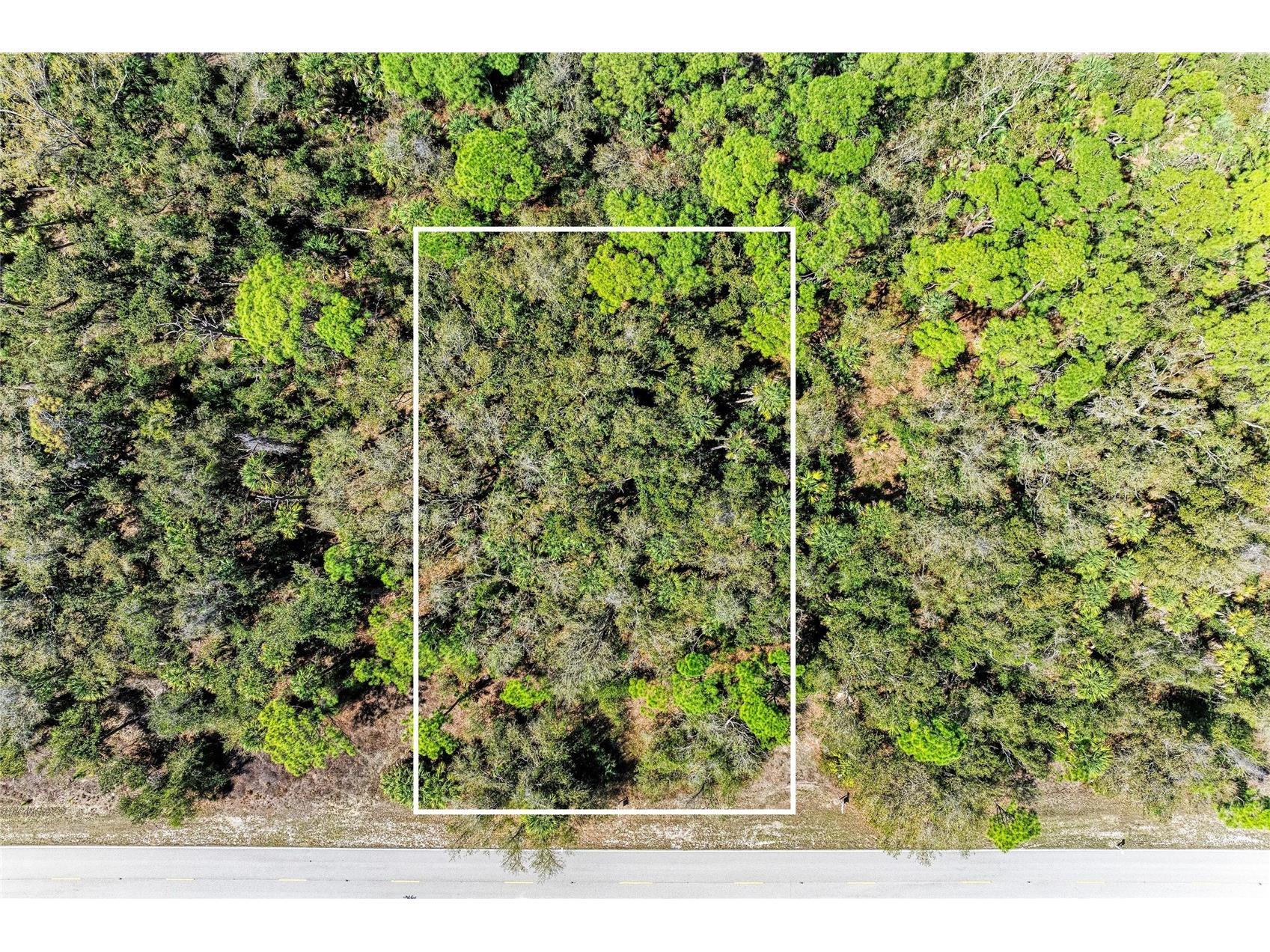 3067 Como Street Port Charlotte FL 33948 A4685169 image11