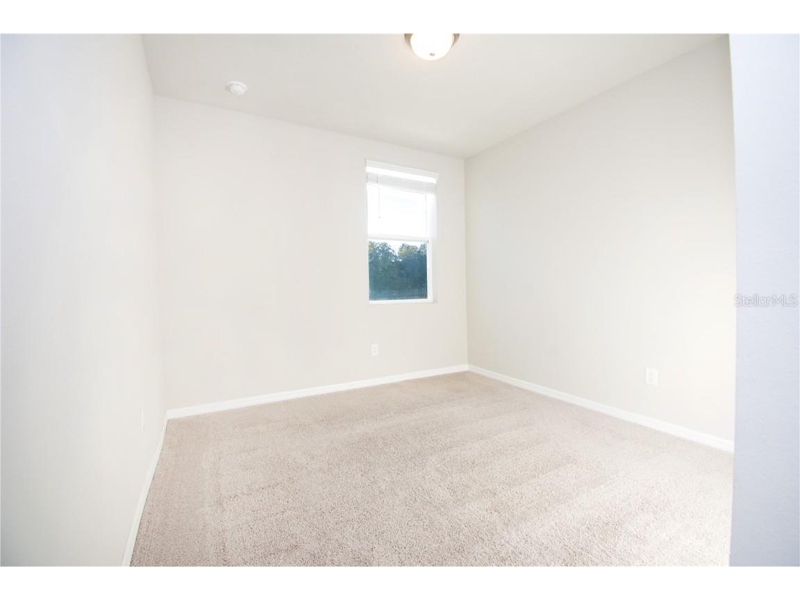 3067 Forrest Plum Court Zephyrhills FL 33540 TB8446669 image11