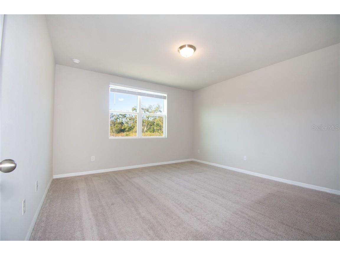 3067 Forrest Plum Court Zephyrhills FL 33540 TB8446669 image18