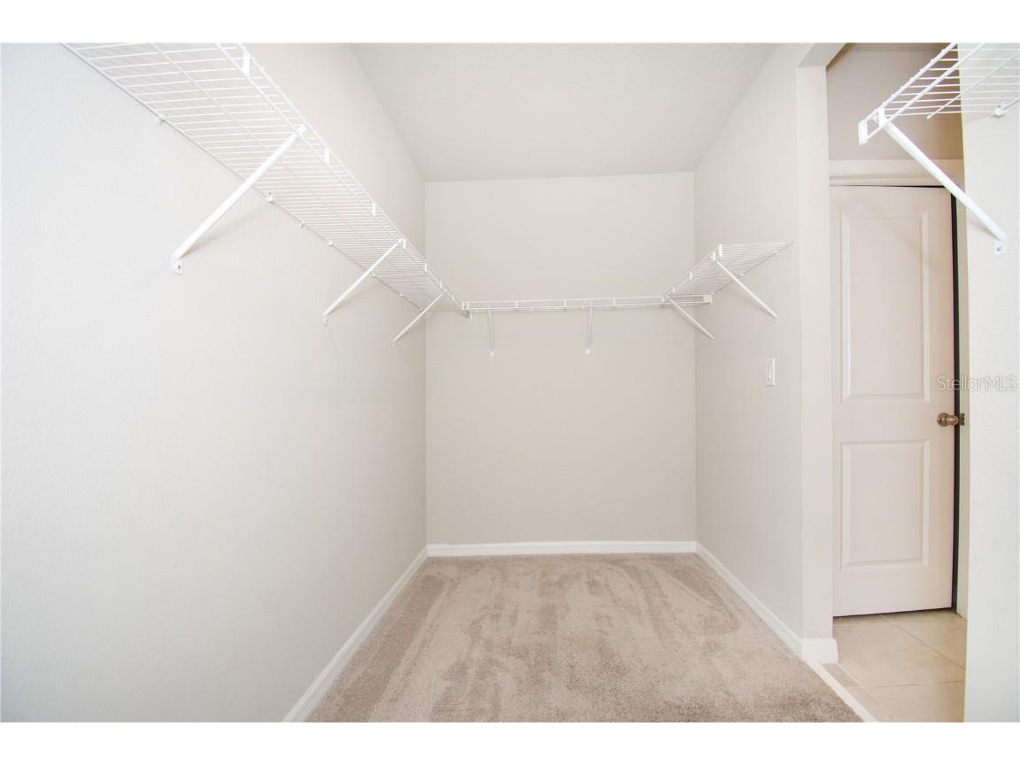 3067 Forrest Plum Court Zephyrhills FL 33540 TB8446669 image23