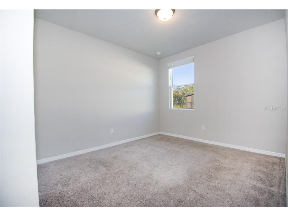 3067 Forrest Plum Court Zephyrhills FL 33540 TB8446669 image9