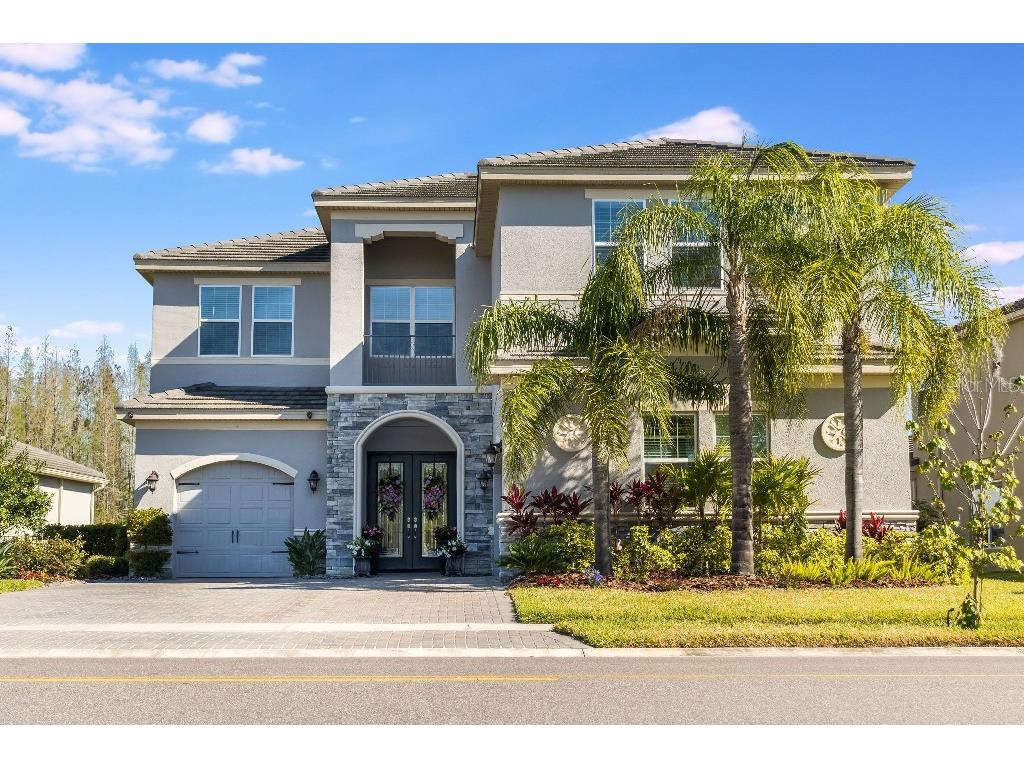 30675 Chesapeake Bay Drive Wesley Chapel FL 33543 T3434809 image1